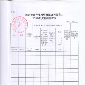 ήa(chn)I(y)ͶY޹˾ؓ(f)؟(z)2018нr